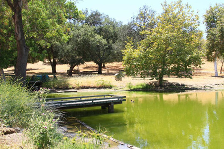 Enlarge photo 322