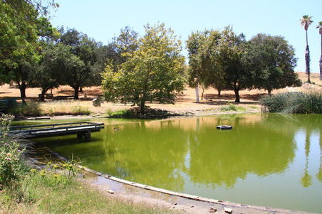 Enlarge photo 328