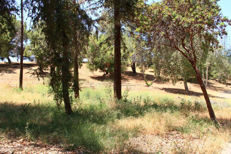 Enlarge photo 332