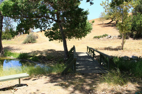 Enlarge photo 333