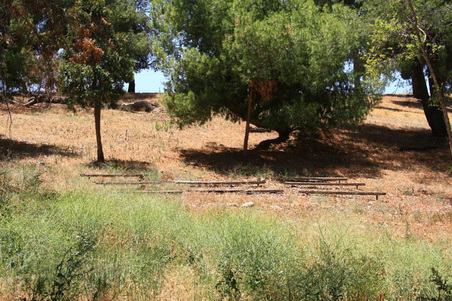 Enlarge photo 334