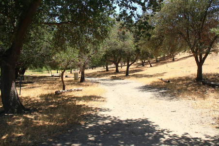 Enlarge photo 335