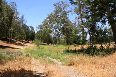 Enlarge photo 329