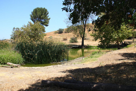 Enlarge photo 330