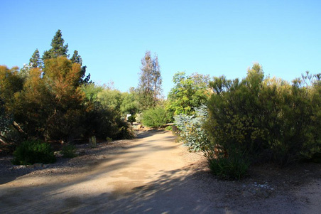 Enlarge photo 346