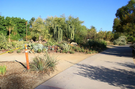 Enlarge photo 347