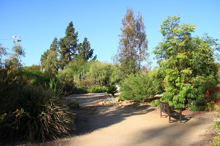 Enlarge photo 341