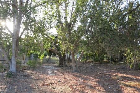 Enlarge photo 354