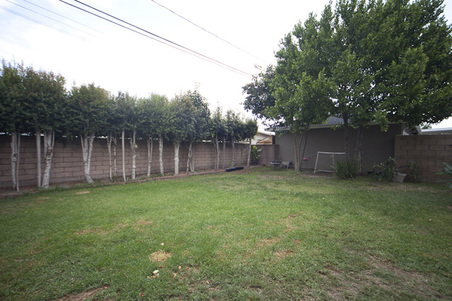 Enlarge photo 5