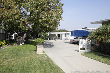 Enlarge photo 25