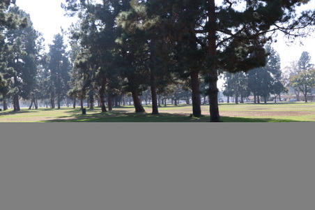 Enlarge photo 47