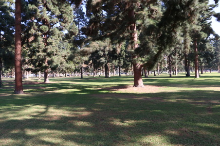 Enlarge photo 21