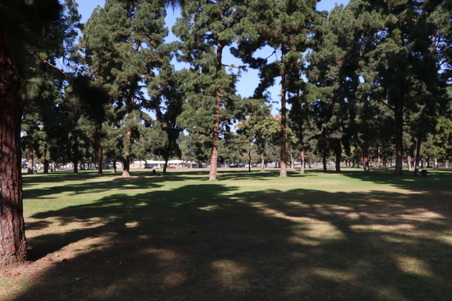 Enlarge photo 24