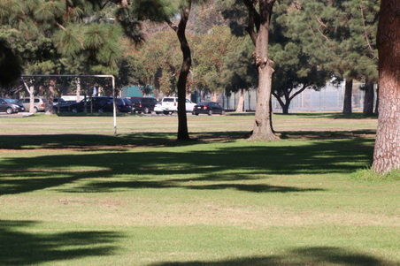 Enlarge photo 26