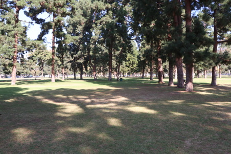 Enlarge photo 27