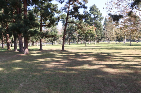 Enlarge photo 28