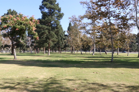 Enlarge photo 30