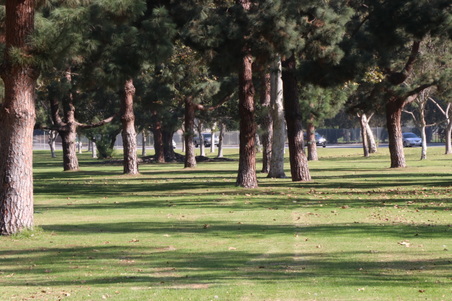 Enlarge photo 31