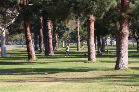 Enlarge photo 32