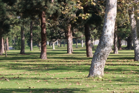Enlarge photo 33