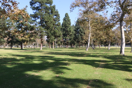 Enlarge photo 34