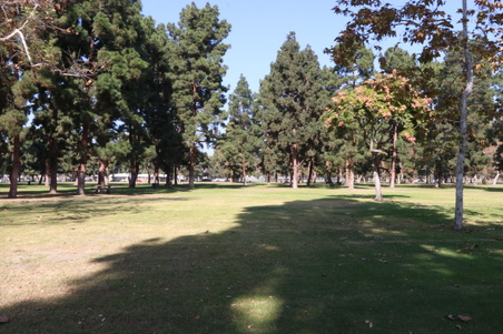 Enlarge photo 35