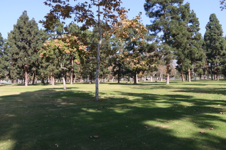 Enlarge photo 36