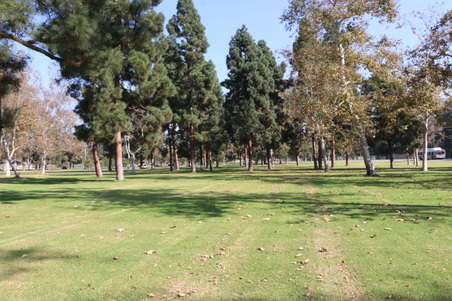 Enlarge photo 37