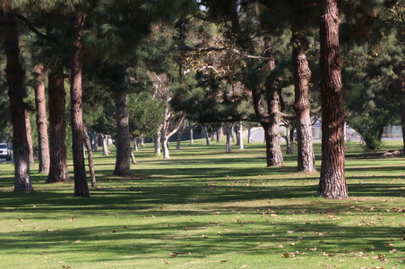 Enlarge photo 38