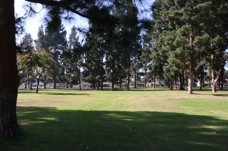 Enlarge photo 40
