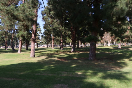Enlarge photo 42