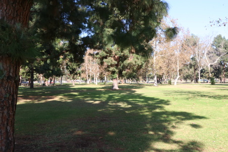 Enlarge photo 43