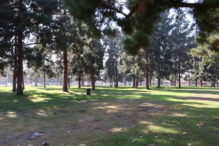 Enlarge photo 45