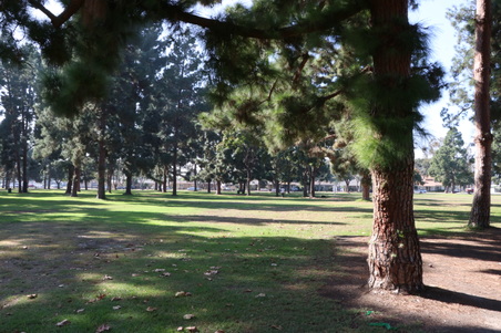 Enlarge photo 46