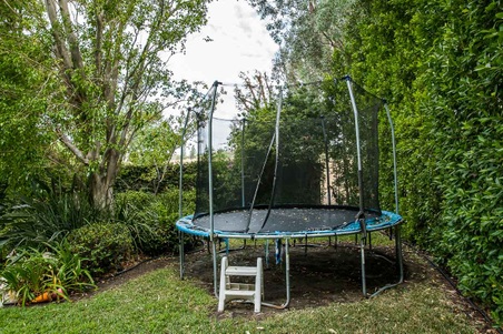 Enlarge photo 41