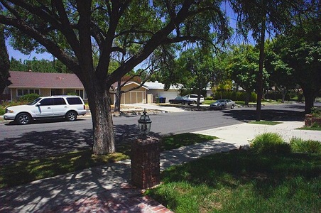 Enlarge photo 41