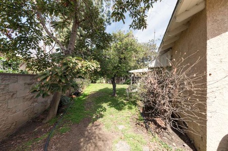 Enlarge photo 55