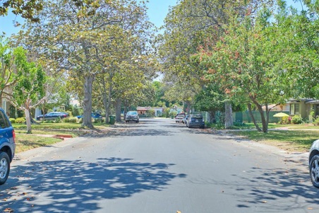 Enlarge photo 11