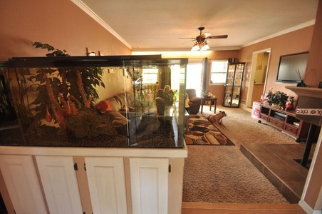 Enlarge photo 8