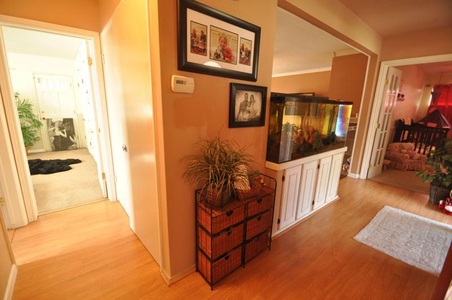 Enlarge photo 31