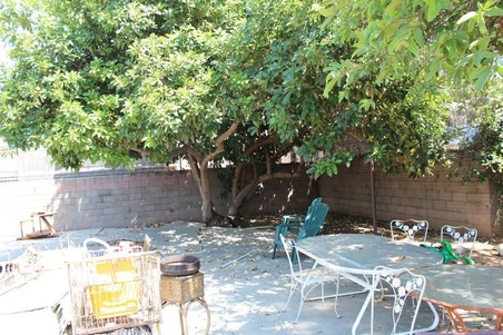 Enlarge photo 26