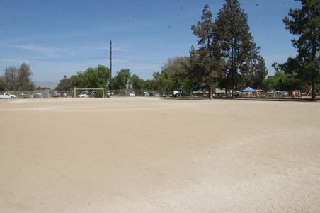Enlarge photo 41