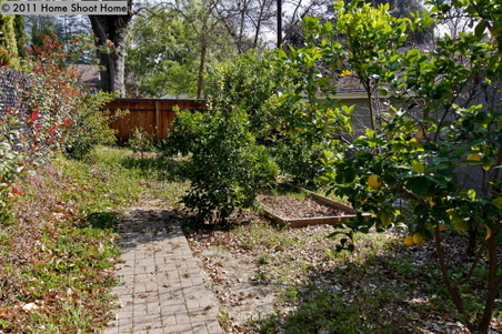 Enlarge photo 27