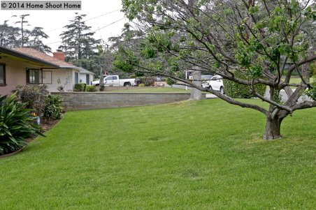 Enlarge photo 38