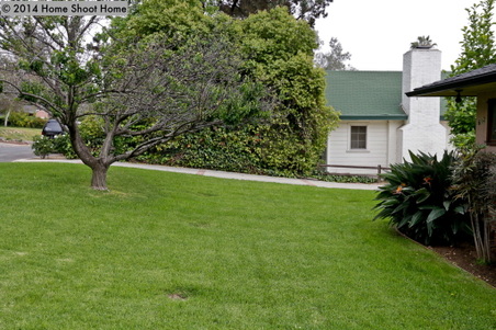 Enlarge photo 39