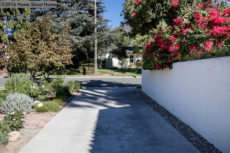Enlarge photo 62