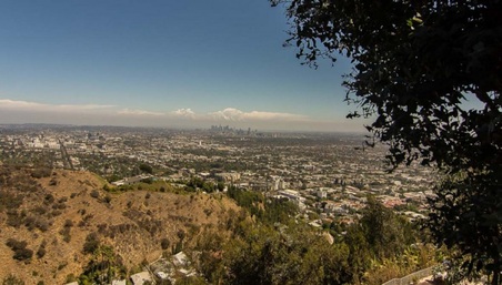 Enlarge photo 44