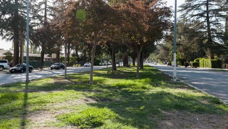 Enlarge photo 64