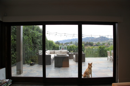 Enlarge photo 40