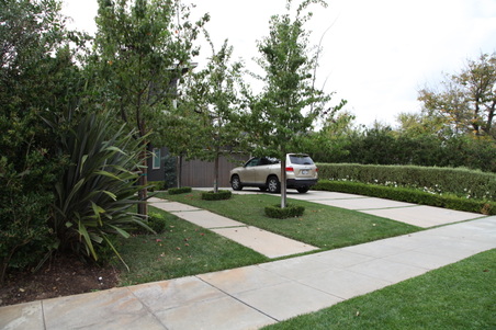 Enlarge photo 54